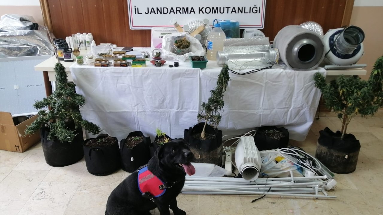 Evlerine İklimlendirme Sistemi Kurup Uyuşturucu Üreten 3 Şüpheli Gözaltına