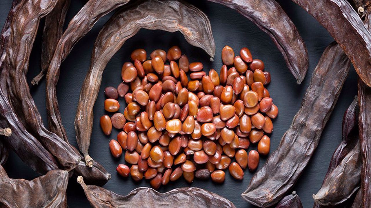 Astım, Bronşit ve Nefes Darlığını Yok Edecek 3  Şifalı Bitki