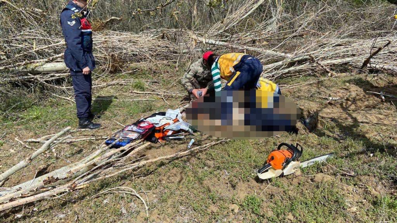 Arkadaşının Kestiği Ağacın Altında Kalıp Öldü