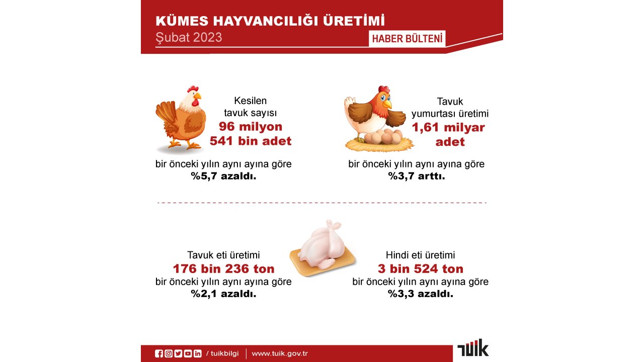 Tüik: Yumurta Üretimi Ve İnek Sütü Miktarı Arttı, Tavuk Eti Üretimi Azaldı