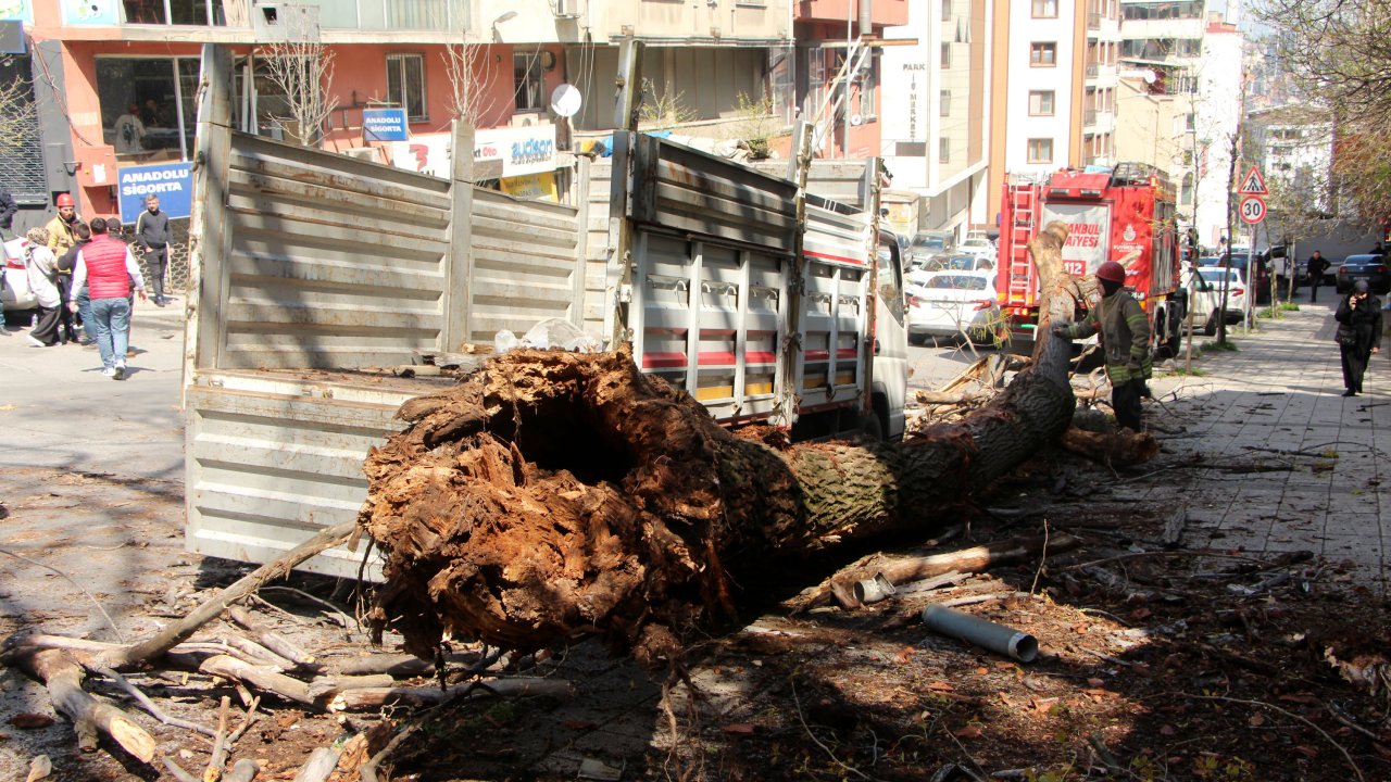 Kağıthane’de Ağaç, Anne Ve Çocuğunun İçinde Olduğu Kamyonetin Üzerine Devrildi