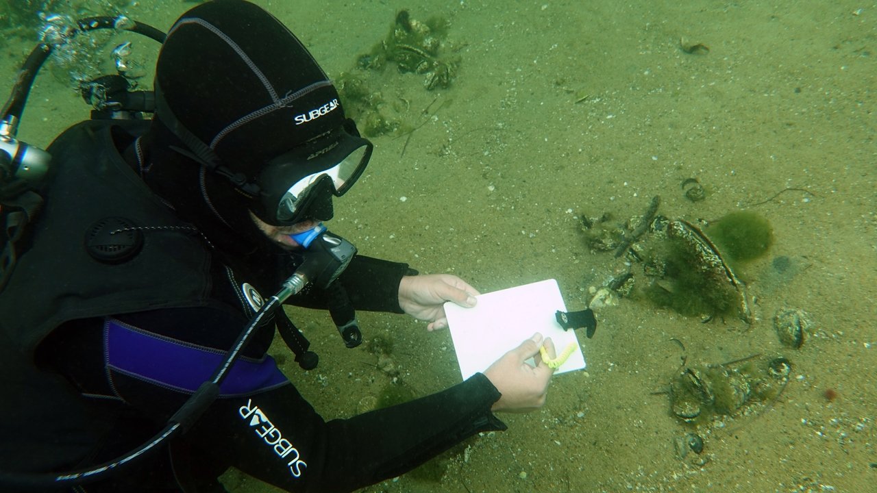 Prof. Dr. Sarı: Pina, Saatte 6 Litre Deniz Suyunu Süzerek Müsilaj Oluşumunu Engelliyor