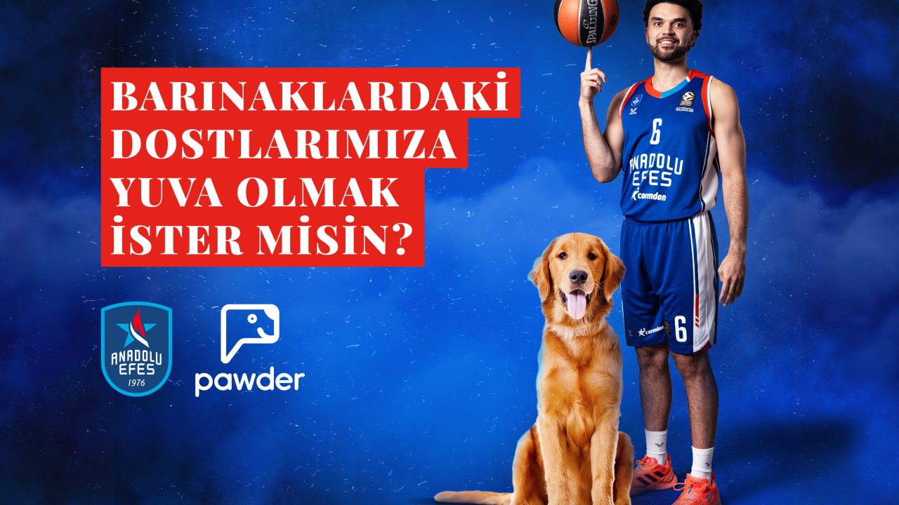 Anadolu Efes, Depremzede Köpeklerin Ve Barınak Hayvanlarının Sahiplendirilmesine Destek Olacak