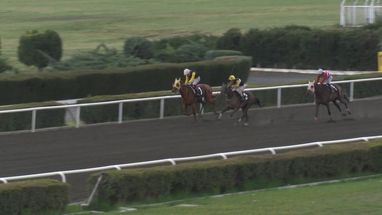 Elazığ Hipodromu’nda Sezon Başladı