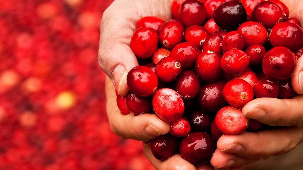 İdrar yolu enfeksiyonuna ne iyi gelir? İşte o mucizevi yiyecekler