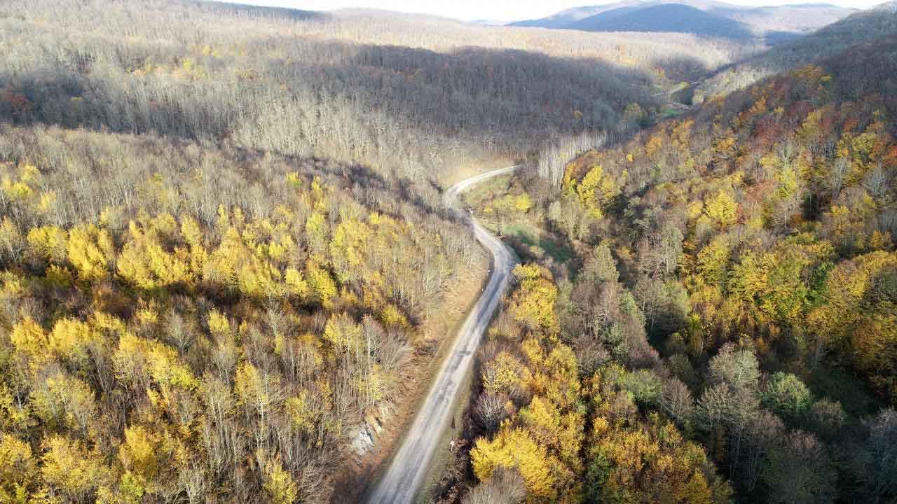 Orman Genel Müdürlüğü 16500 personel alımı ilanı! Kontenjanlar açıklandı