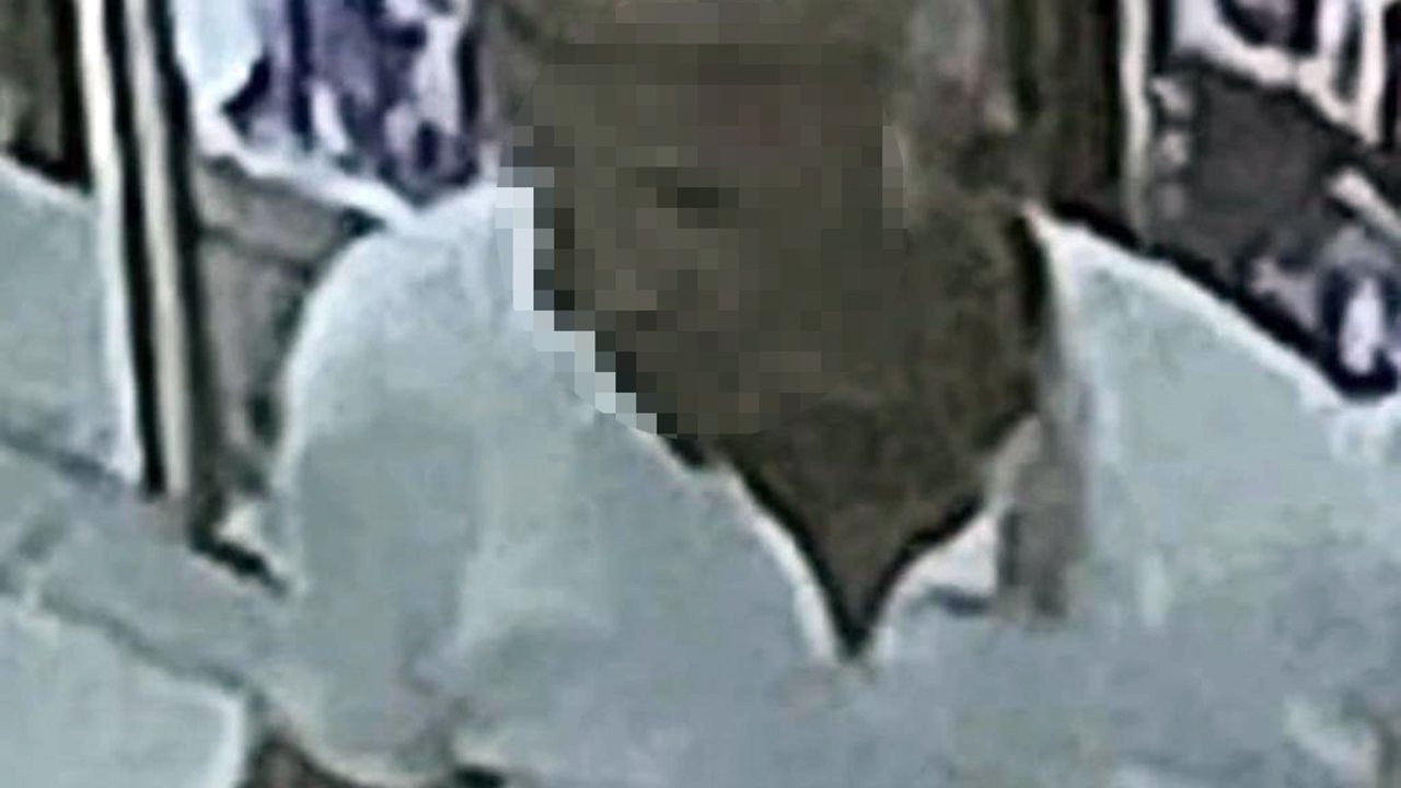 Köpeği Aracına Bindiren Servis Şoförüne Cinsel Saldırı İddiasıyla Gözaltı