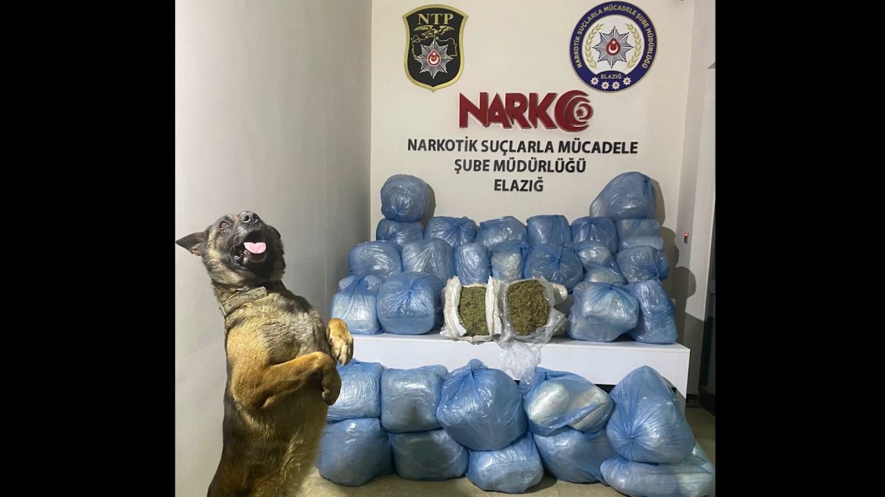 Elazığ'da Uyuşturucu Operasyonlarında 11 Tutuklama