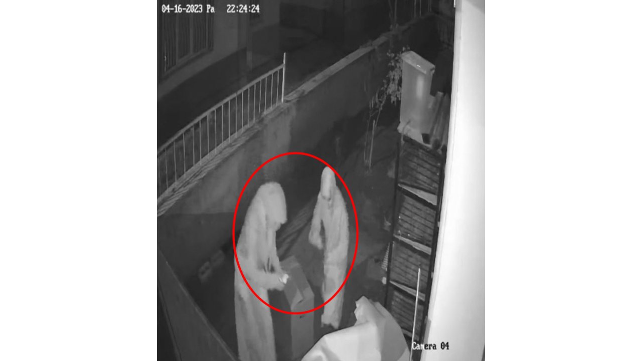 Kadınlar, Kümesteki Tavukları Kutuya Koyup Çaldı; O Anlar Kamerada