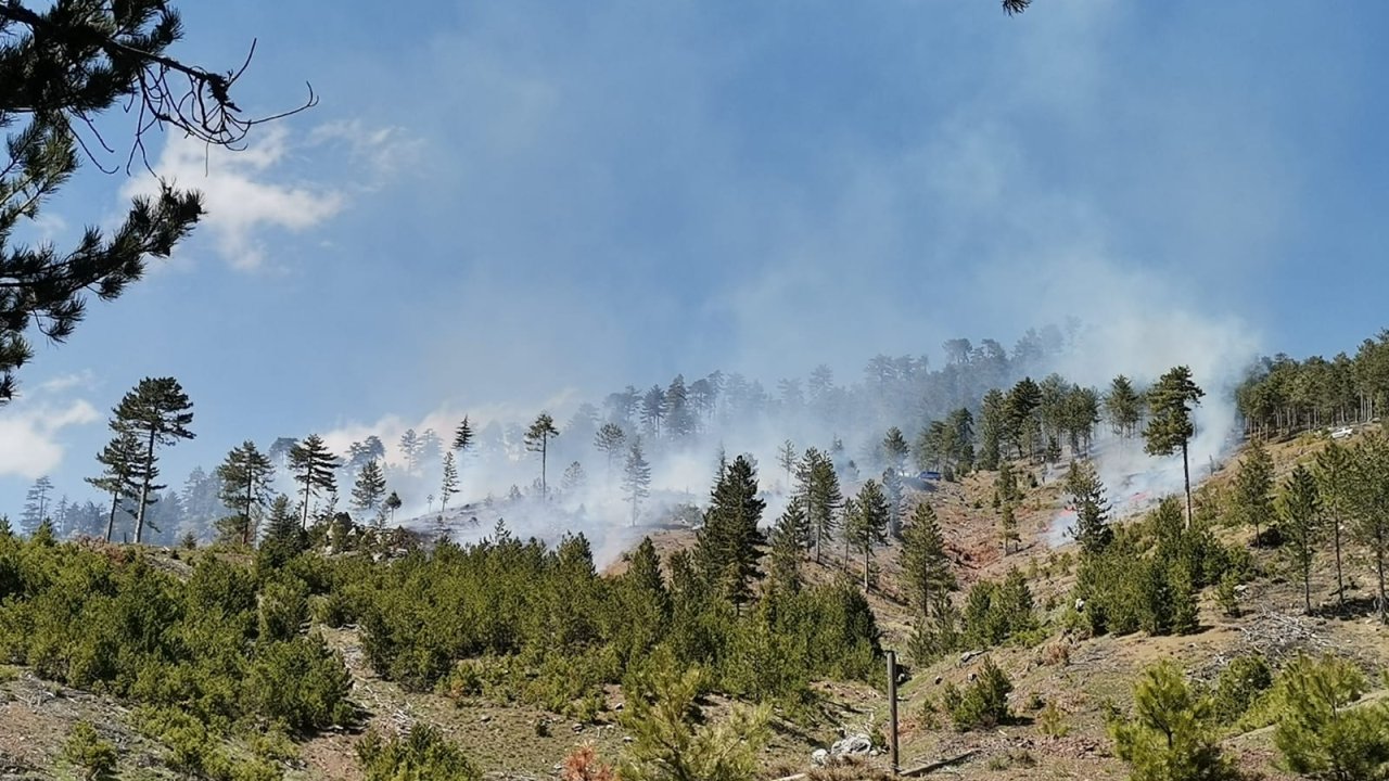 Konya'da Orman Yangını