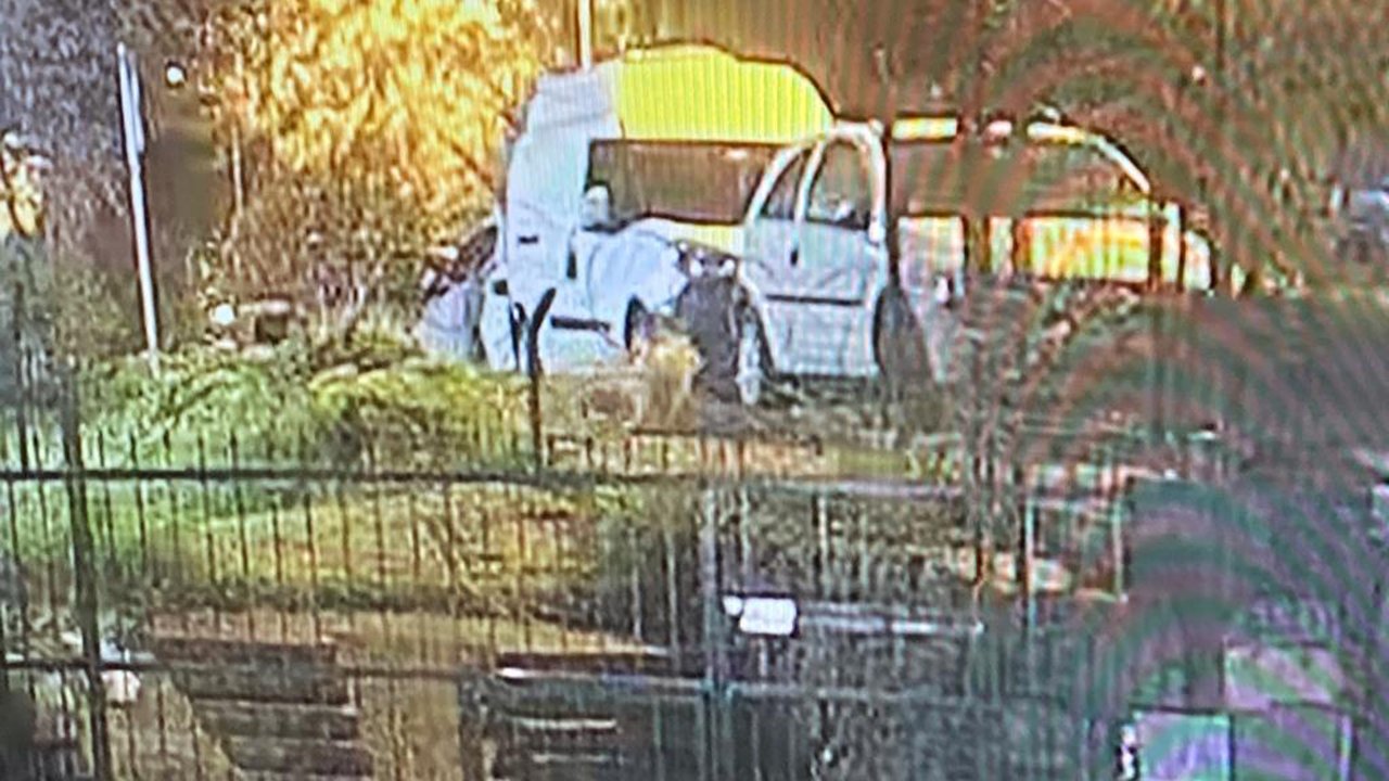 Üsküdar'da Sokak Köpeğine Silahlı Saldırı