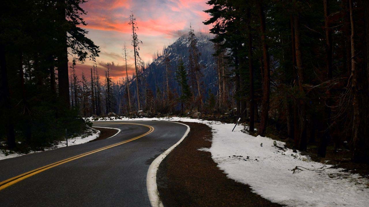 Orman Genel Müdürlüğü 224 personel alımı bugün başladı! Başvuru şartları neler?