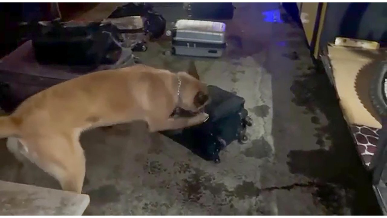 'eris'li Aramada Otobüste Saç Spreyi Tüplerine Saklanmış Uyuşturucuyu Bulundu