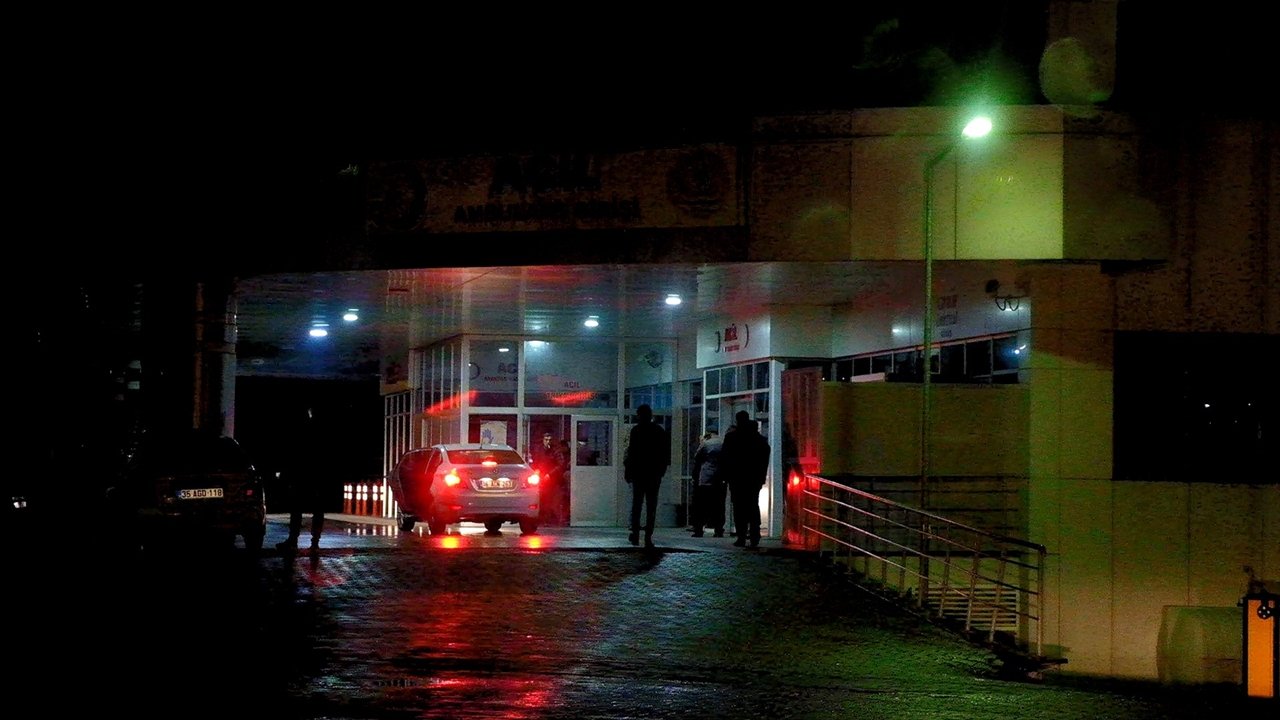 Bingöl’de Hayvanlarını Otlatırken Yıldırım İsabet Eden Kişi Yaralandı