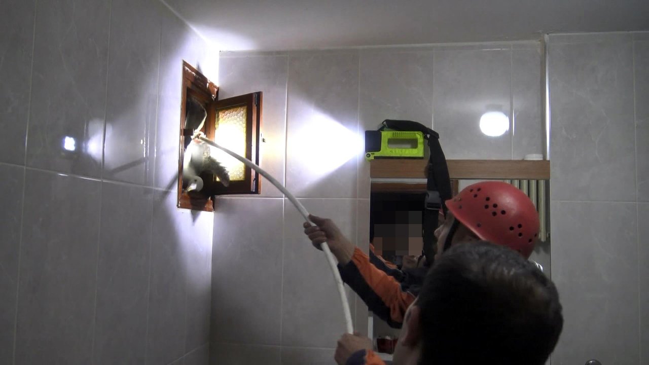 Avcılar'da Binanın Havalandırma Boşluğuna Düşen Martı Kurtarıldı