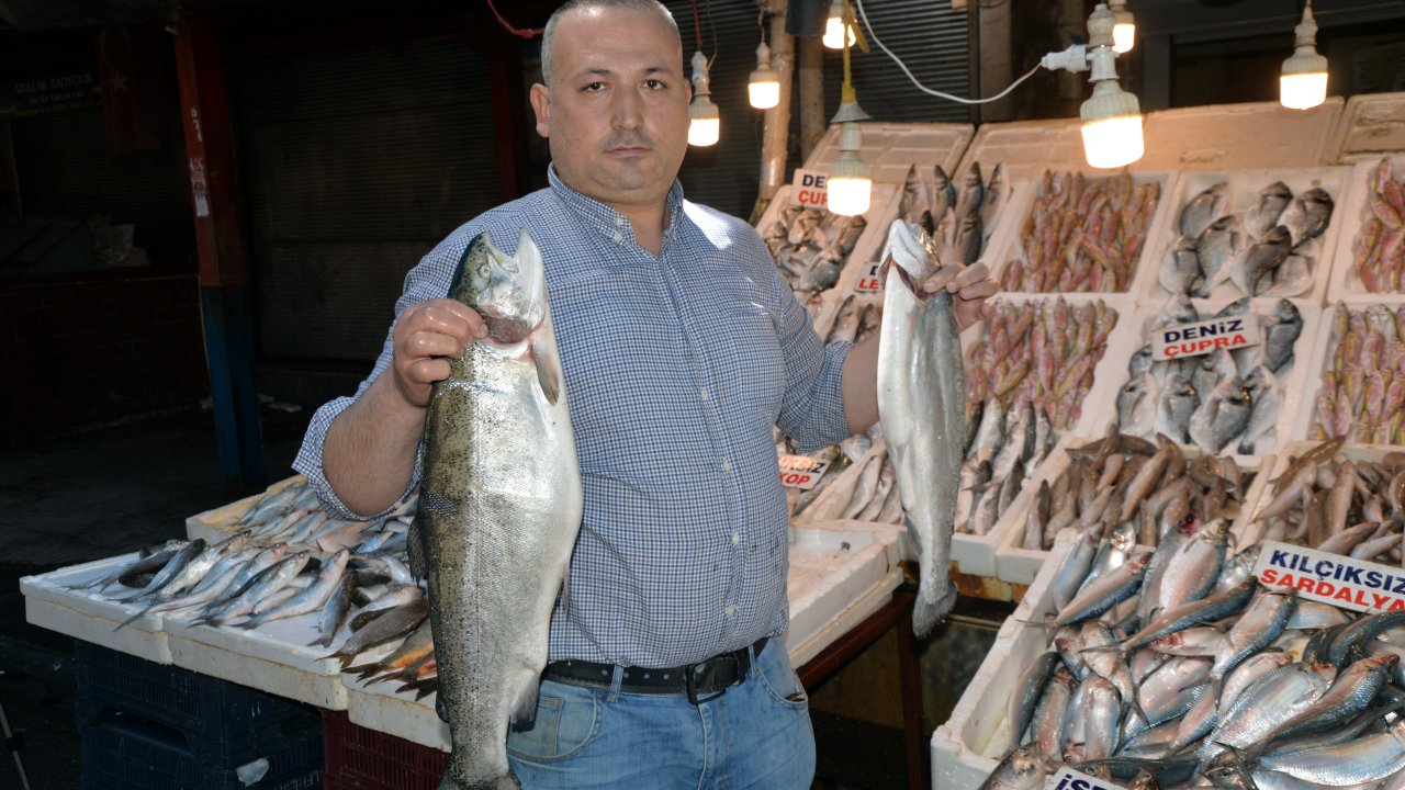 Mersin'de Av Yasağıyla Günlük Balık Çeşidi 15'e Düştü Ancak Fiyatlar Artmadı
