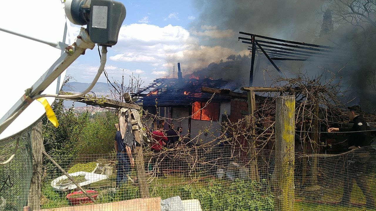 Yangında Alevlerin Arasında Kalan Hayvanlar İle Kuyuya Düşen İnek Kurtarıldı
