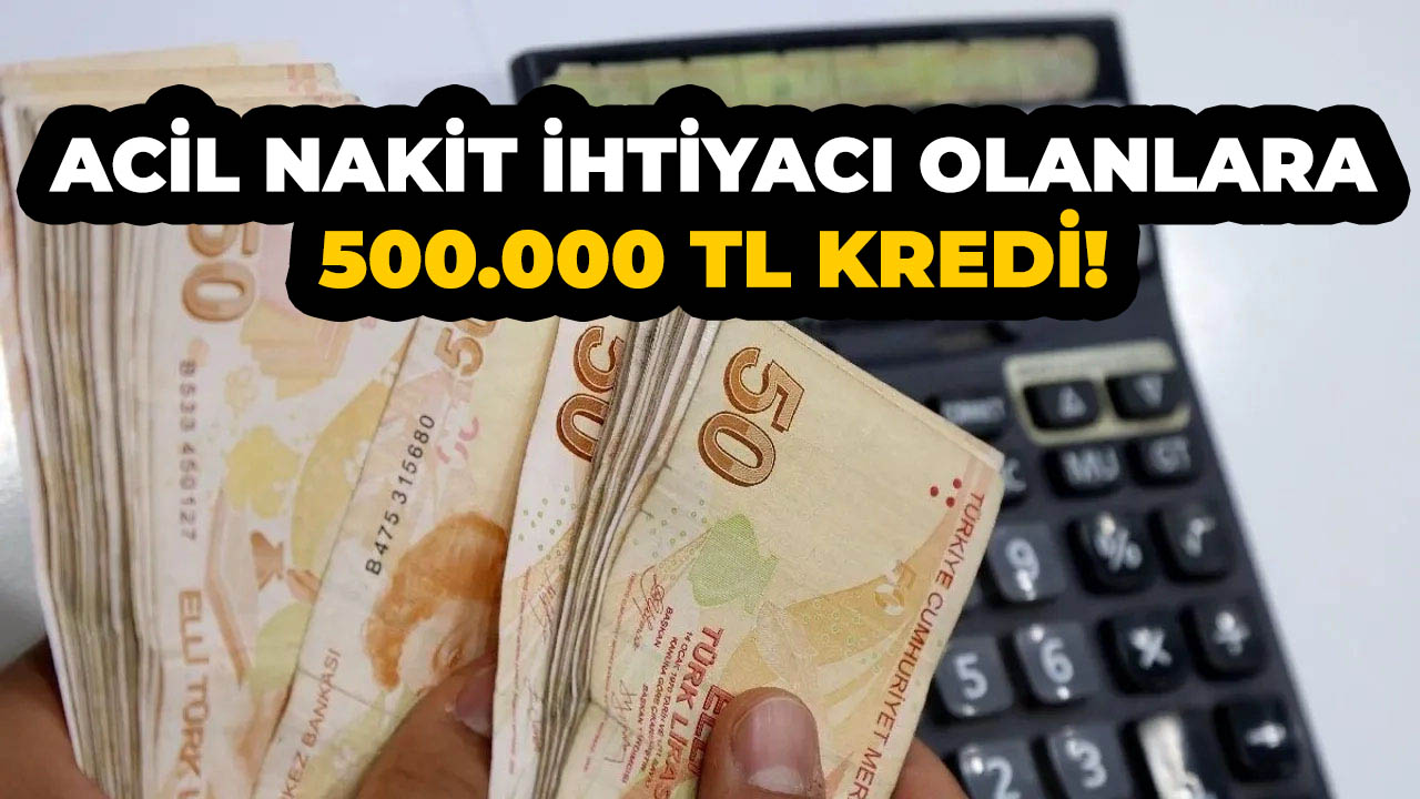 Ziraat Bankası, Halkbank, Vakıfbank ve Akbank'tan düşük faizli 500.000 TL kredi!
