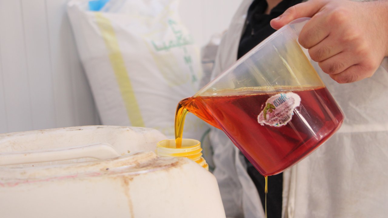 Kampüste Üretilen Kolonyalardan 3 Milyon Lira Gelir Elde Edildi