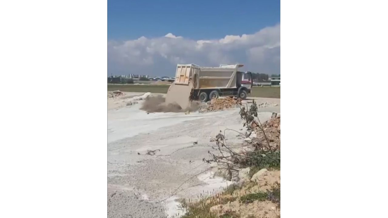 Üzerlerine Beton Atık Suyu Dökülen 5 Yavru Köpekten 3'ü Öldü