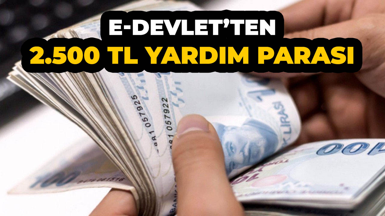 Bakanlık 2.500 TL yardım parası veriyor! 1 dakikada başvurabilirsiniz