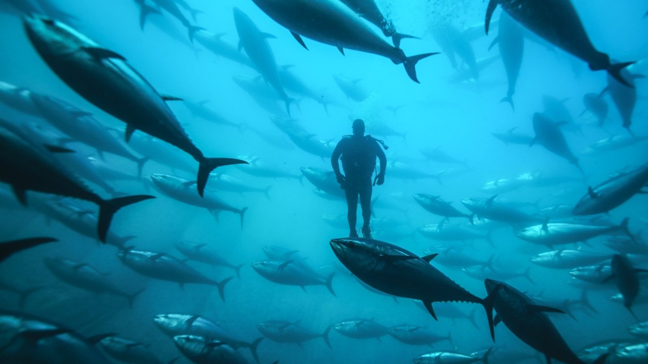 'tarım Orman Ve İnsan Fotoğraf Yarışması'nın Sonuçları Belli Oldu