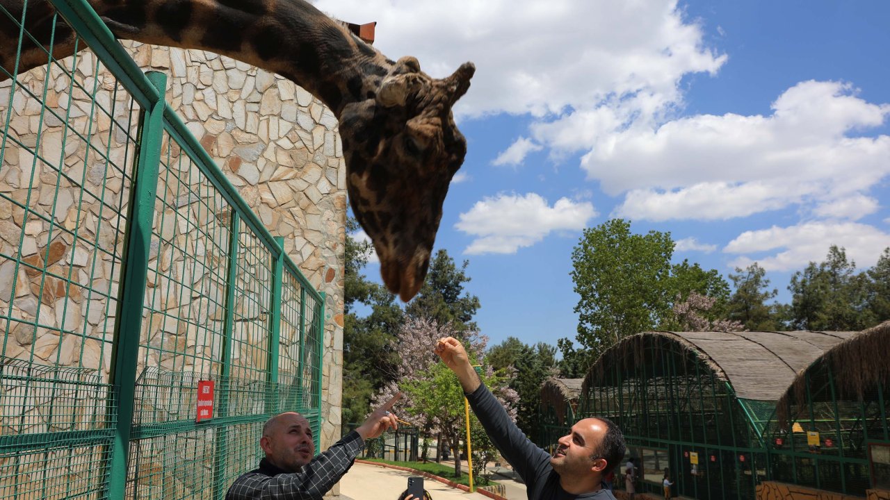 Türkiye'nin En Büyük Hayvanat Bahçesinde Bahar Hazırlığı