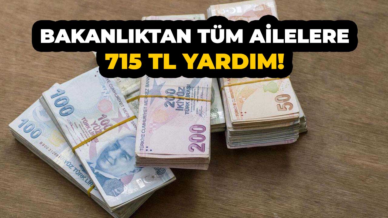 Bakanlık ihtiyaç sahibi ailelere minimum 715 TL ödeme yapıyor