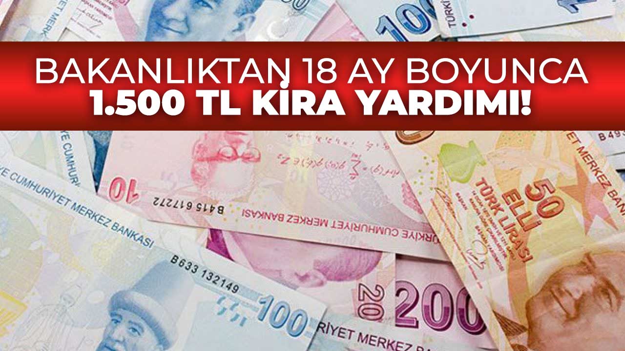 Aile Bakanlığı'ndan 18 ay boyunca 1.500 TL yardım ödemesi! Kimler başvurabilir?