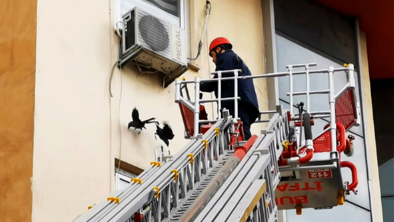 Mahsur Kalan Kargaları İtfaiye Kurtardı