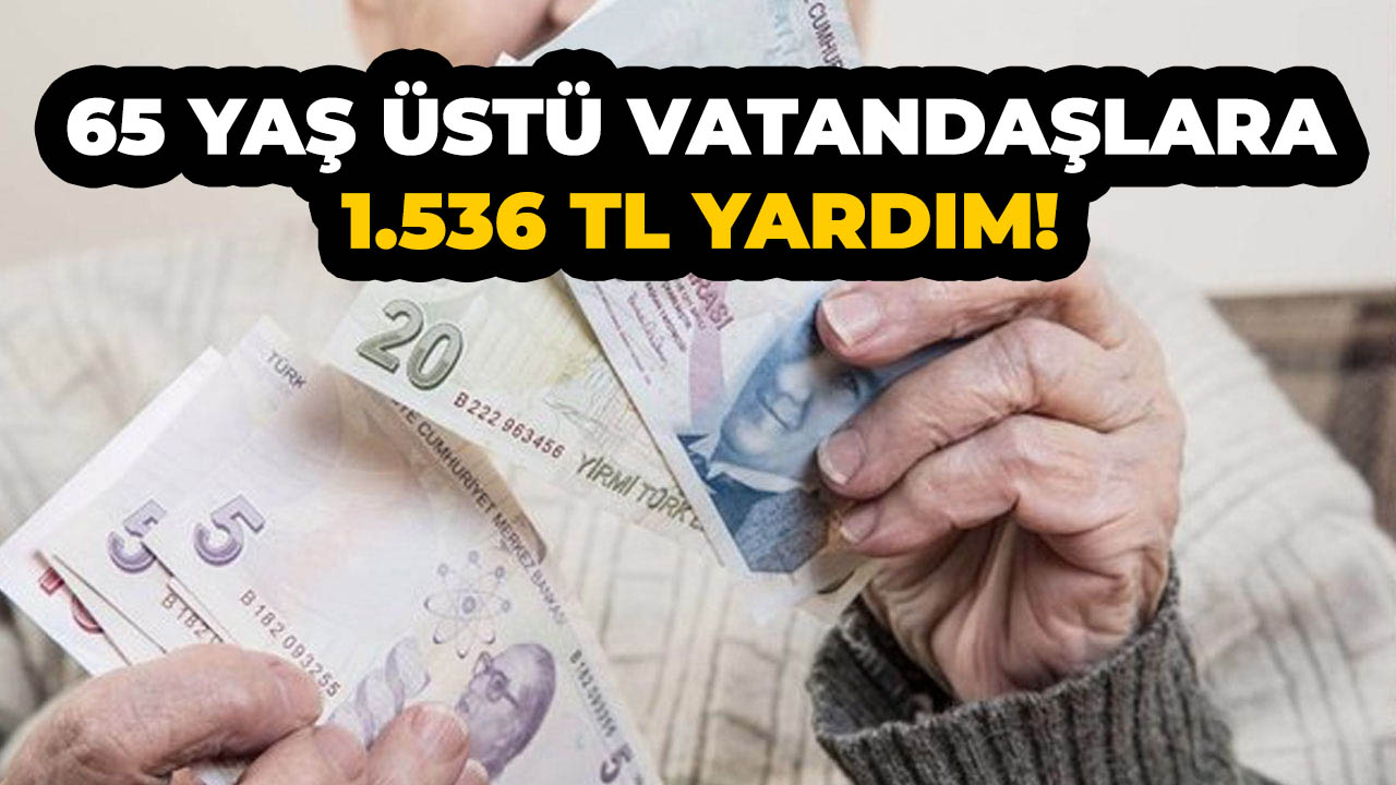 65 yaş üstü vatandaşlara devletten her ay düzenli olarak 1536 TL yardım!