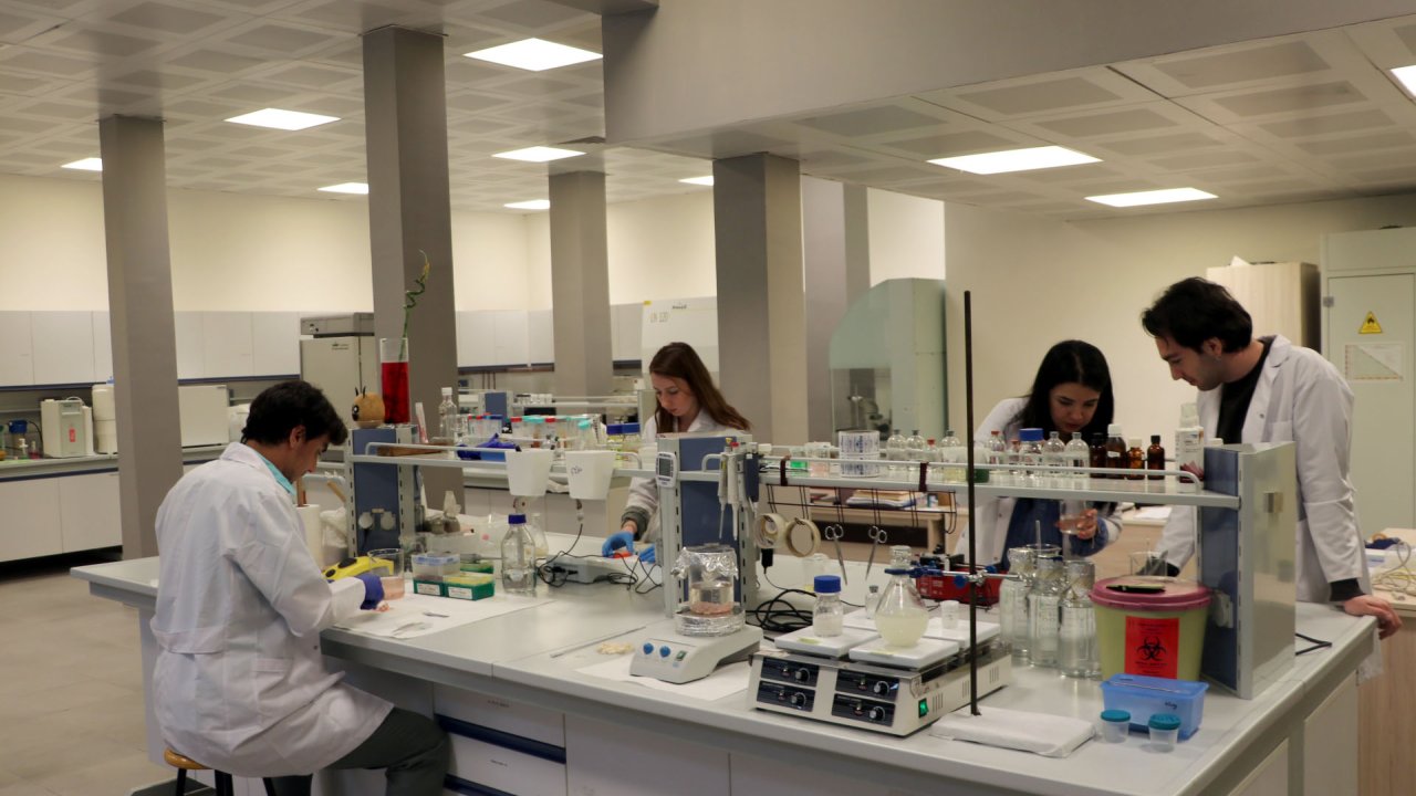 Sığır Aort Damarından 3d Yazıcıyla Doğal İnsan Aort Damarı