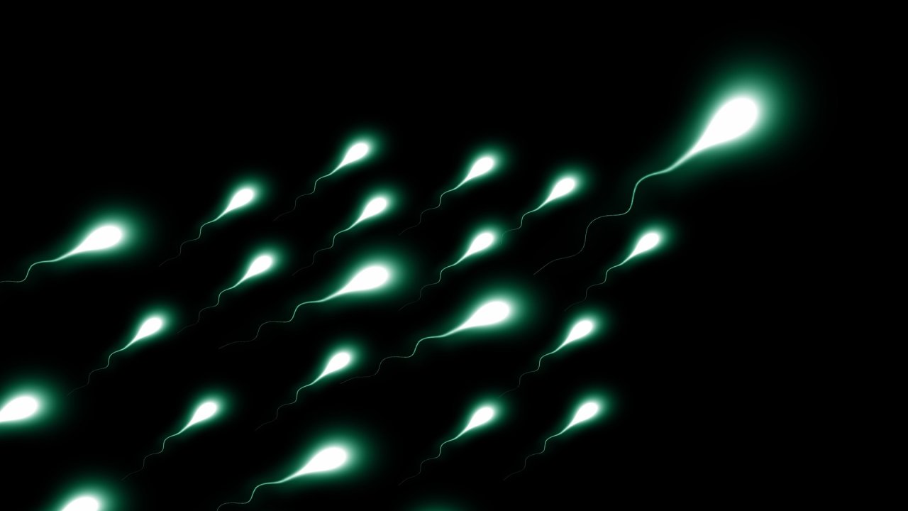 En Az 550 Çocuğun Sperm Donörü Olan Adamın, Sperm Bağışlaması Yasaklandı