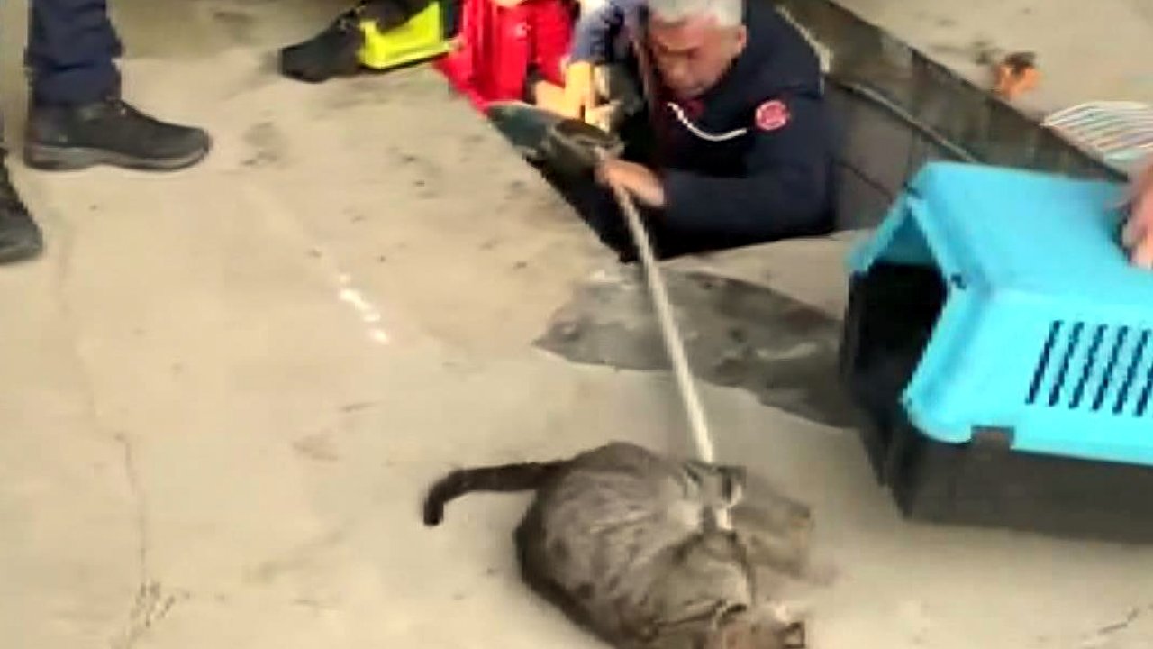 Bahçeşehir'de Otomobilin Altına Giren Kedi Ve 2 Yavrusunu İtfaiye Çıkardı
