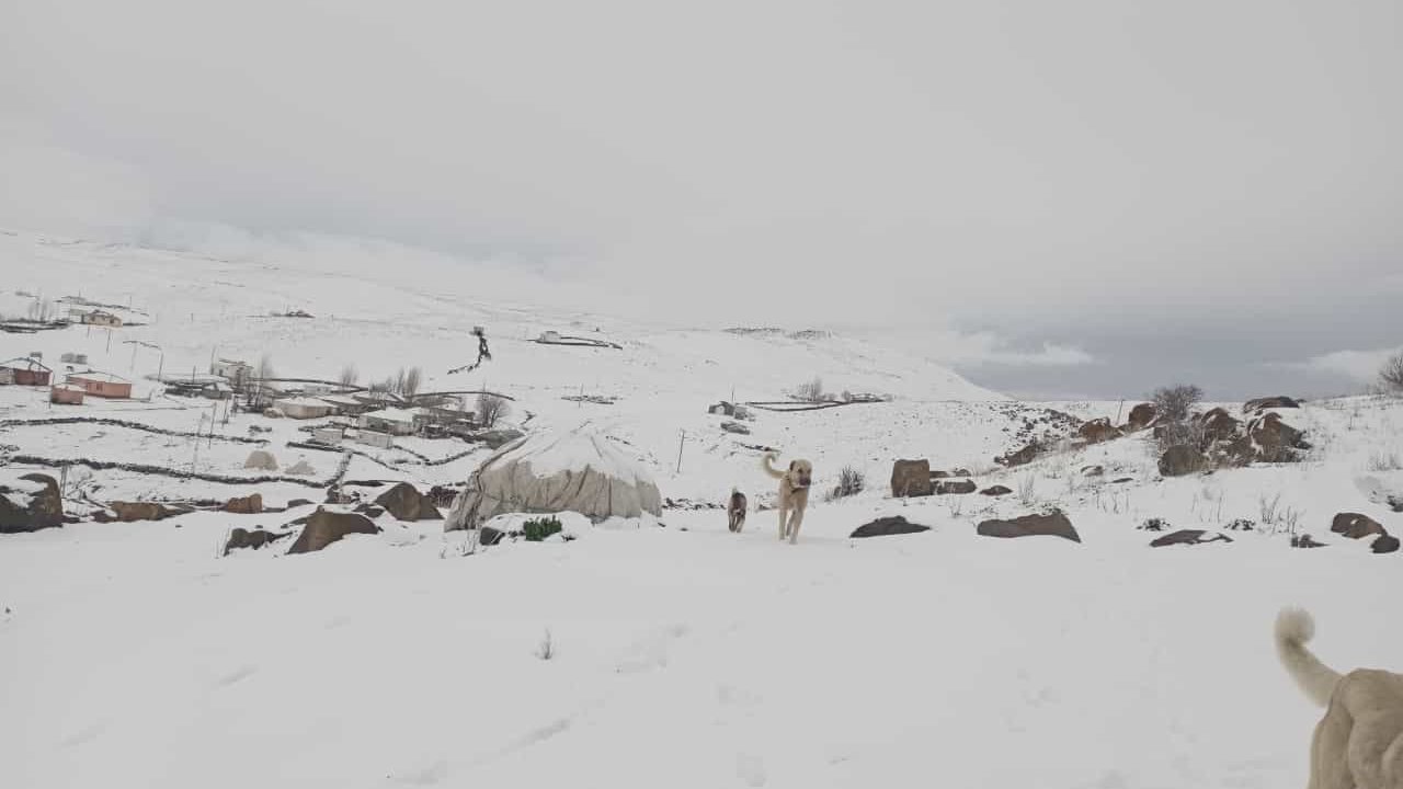 Diyarbakır, Bingöl Ve Batman’da Kar İle Dolu Etkili Oldu