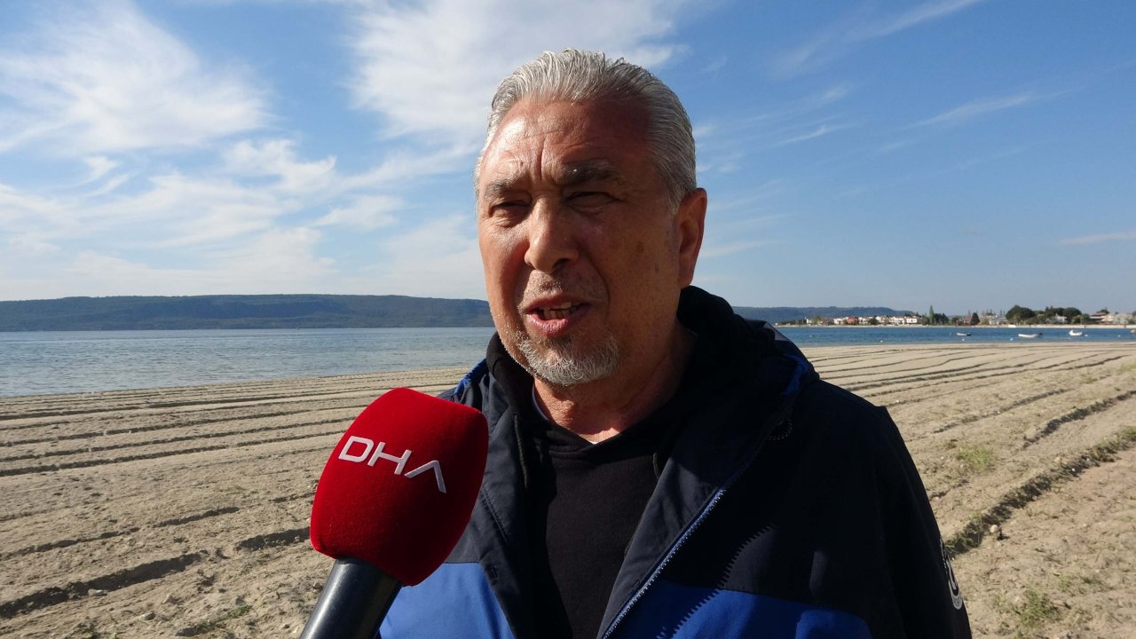 Çanakkale Boğazı'nda Zehirli Tehlike; Pusula Denizanası