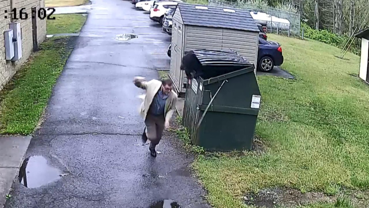 Abd’de Aniden Çöp Konteynerinden Çıkan Ayı, Okul Müdürünü Korkuttu