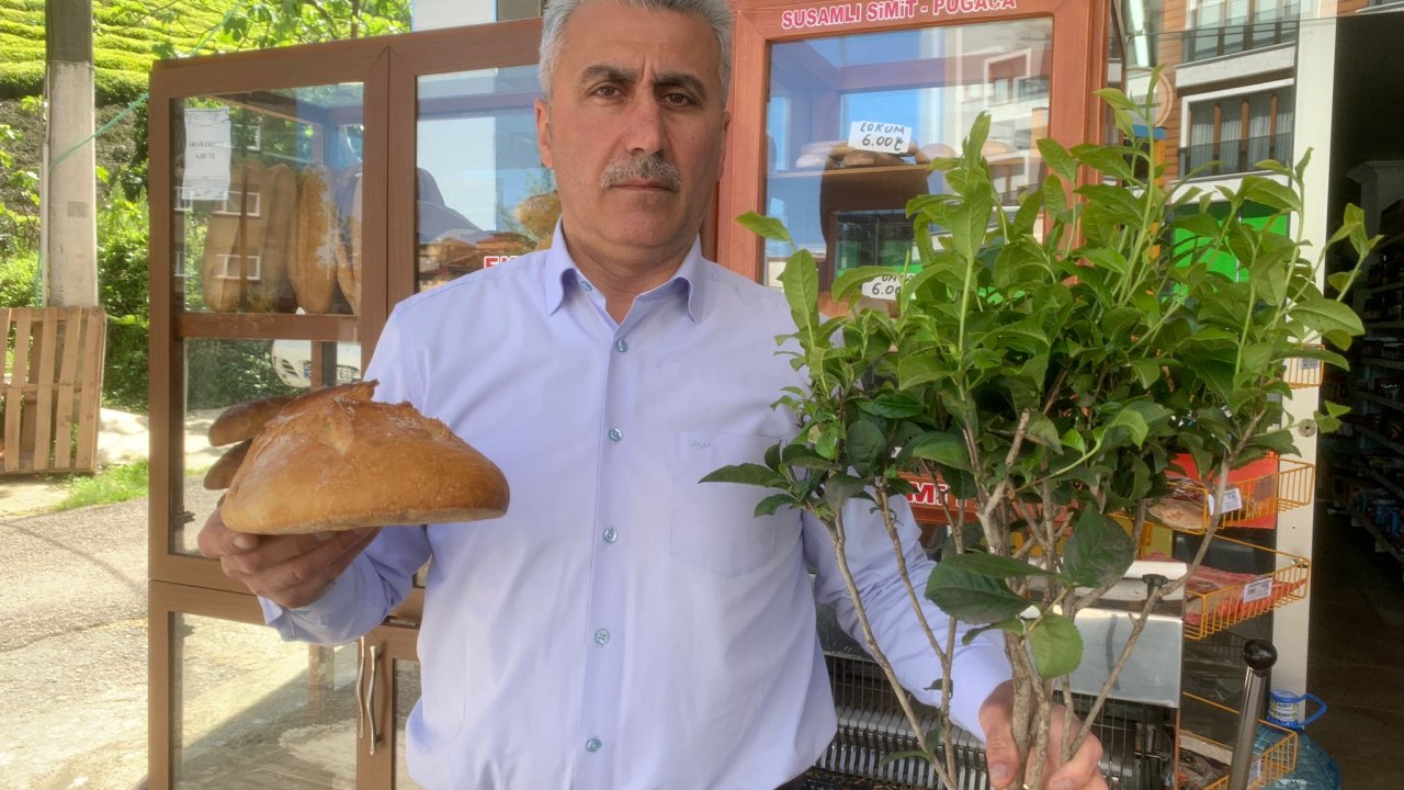 Çay Üreticileri, 2023 Yılı Yaş Çay Alım Taban Fiyatını Değerlendirdi