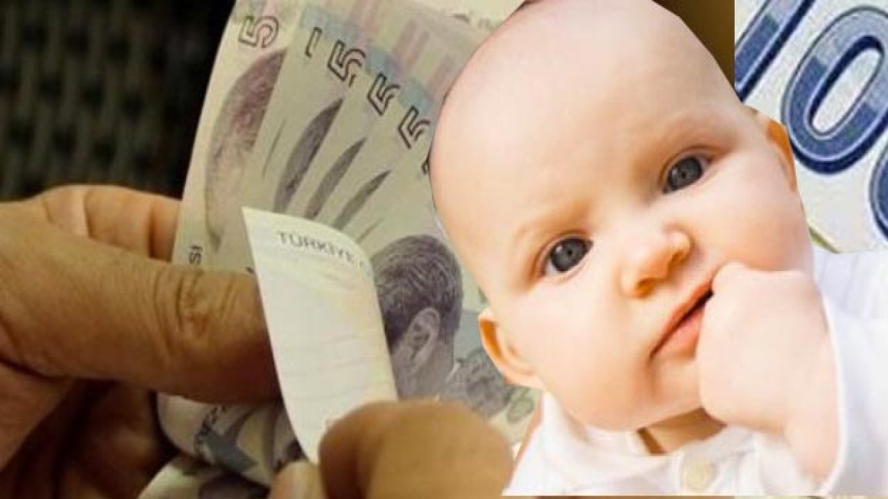 PTT Süt Parası (Emzirme Ödeneği) Sorgulama İşlemleri