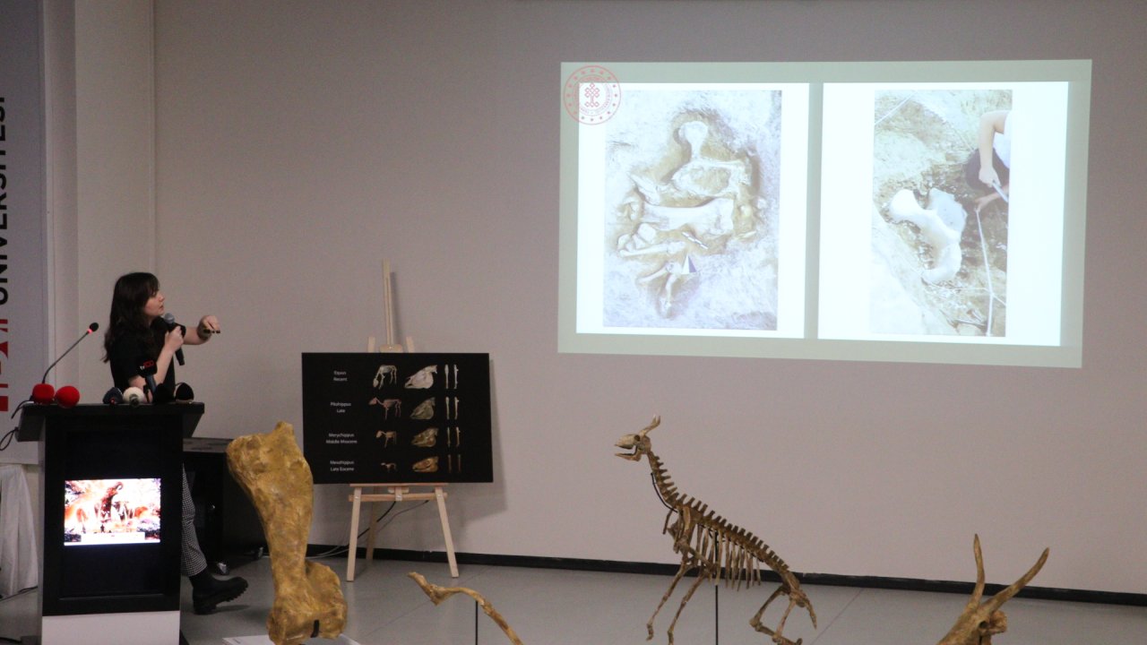 Türkiye'nin İlk Paleontoloji Müzesinin Yüzde 80'i Tamamlandı