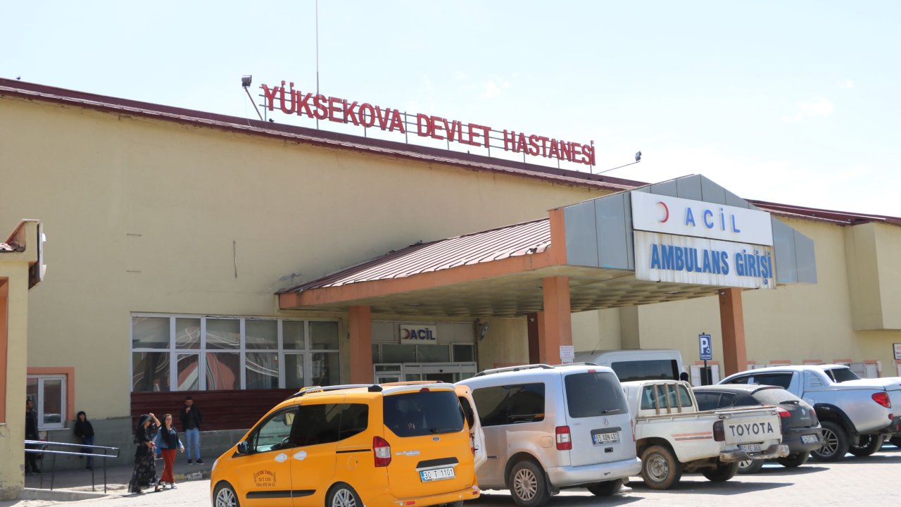 Pancar Toplarken Ayının Saldırısına Uğradı