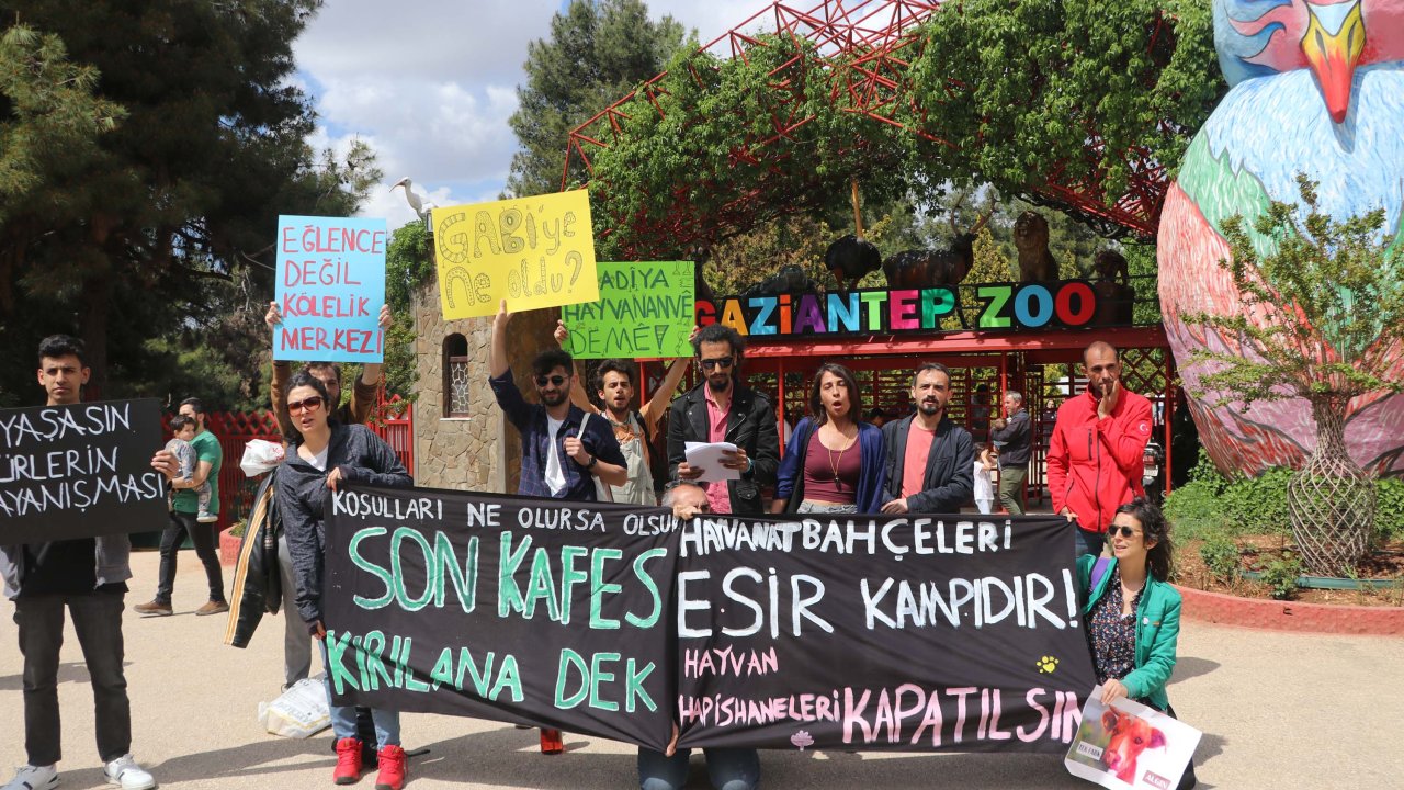 Gaziantep Hayvanat Bahçesi Önünde ‘kapatılsın’ Eylemi
