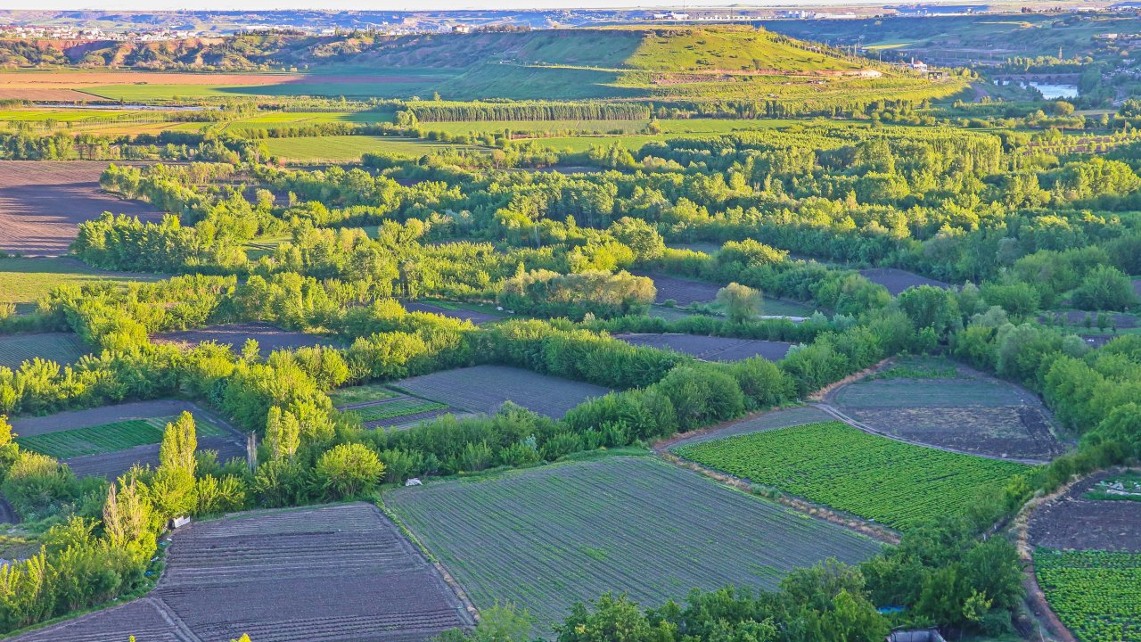 Hevsel Bahçeleri'nde Üreme Sezonu Başladı; Kuş Sesleri Yankılanıyor