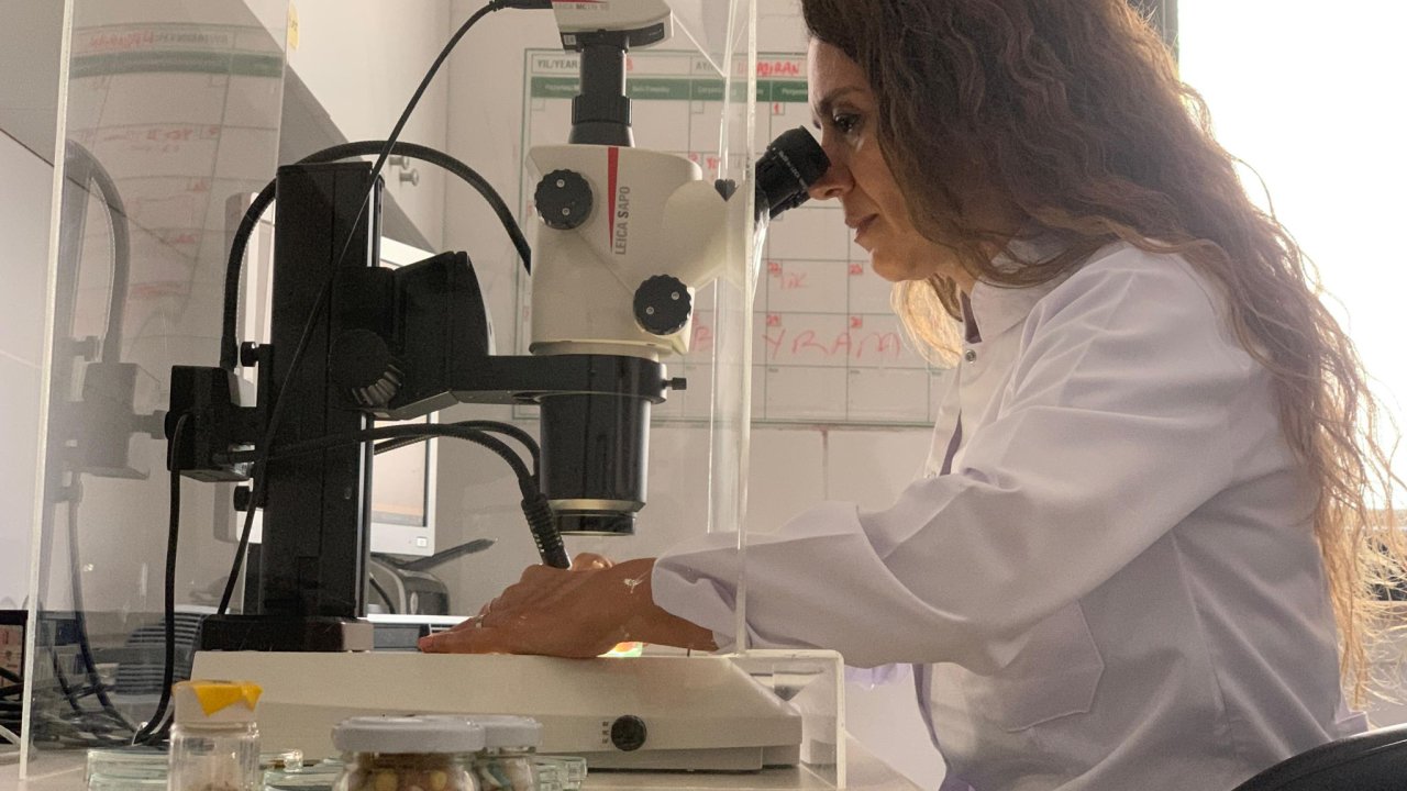 RTEÜ’lü bilim insanları Antarktika  yolcusu