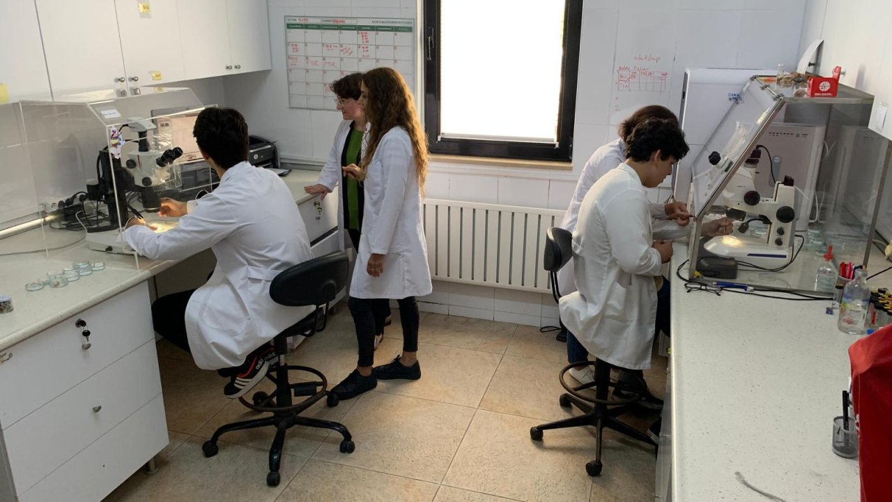 Rize yaylalarında kardan 'mikroplastik' çıktı