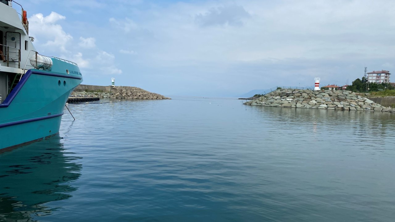 Deniz suyu yüzey sıcaklıklarındaki artış son 53 yılın zirvesinde: Balıkçılık tehlikede