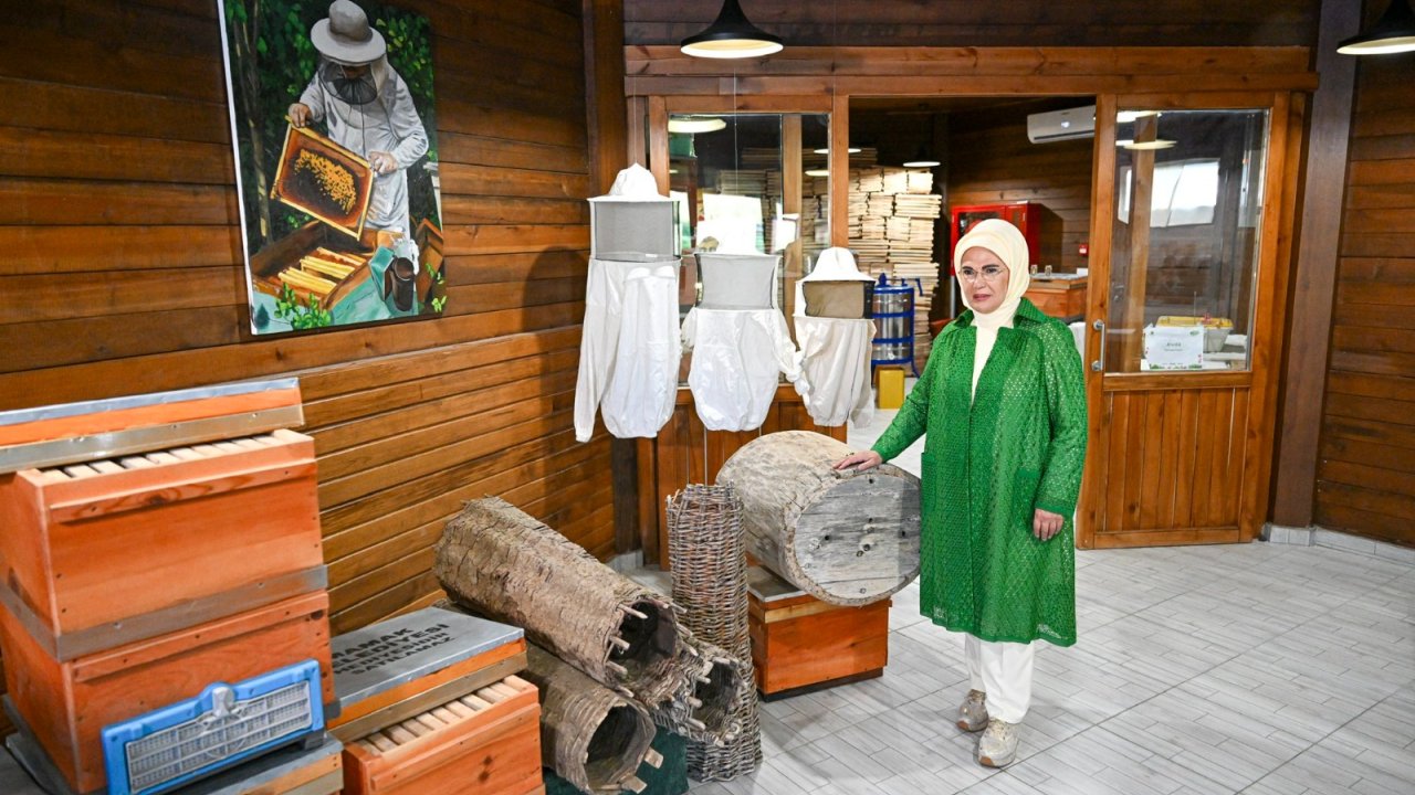 Emine Erdoğan, Ankara'da Ekolojik Köy ziyareti ve lavanta hasadı yaptı