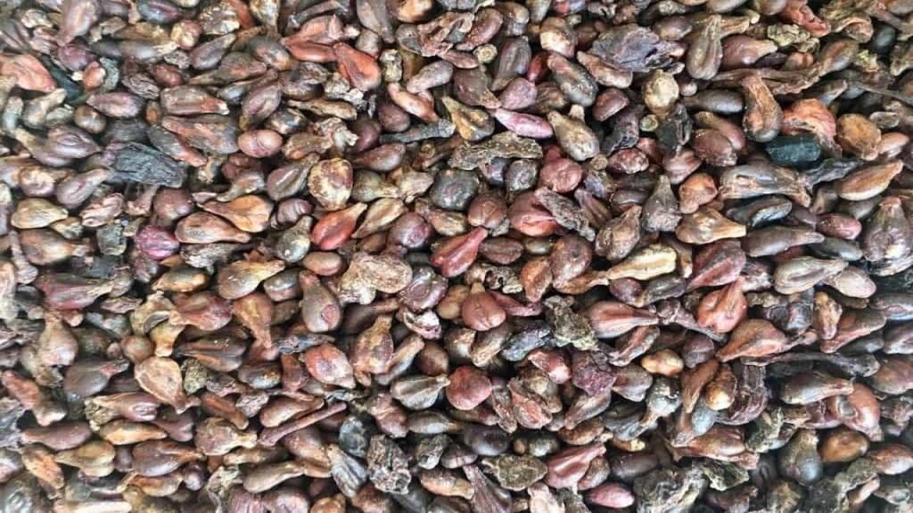 Tatlı krizlerine sağlıklı yoldan derman olacak o meyve!