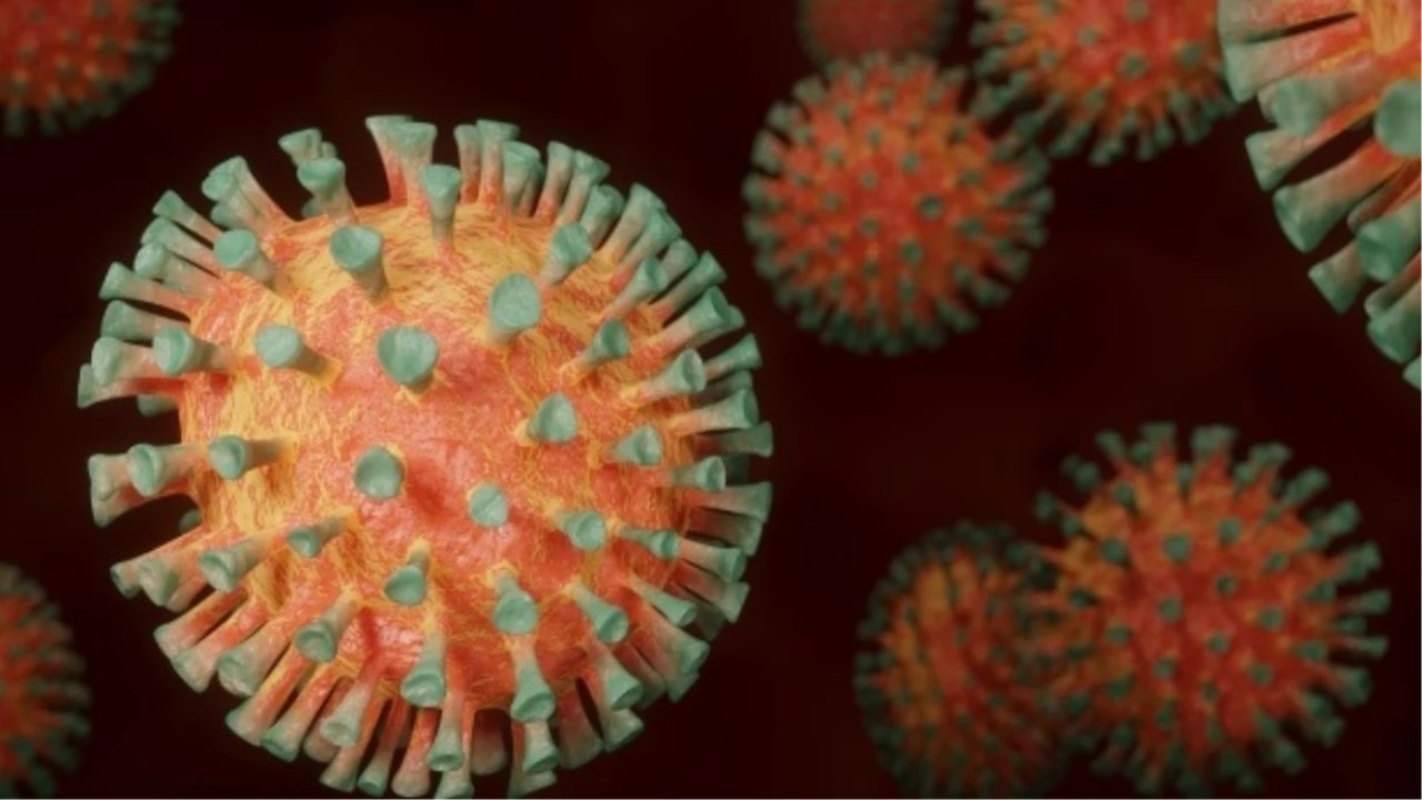 Bu virüs sadece erkekleri öldürüyor! Erkekleri öldüren virüs hangisi?