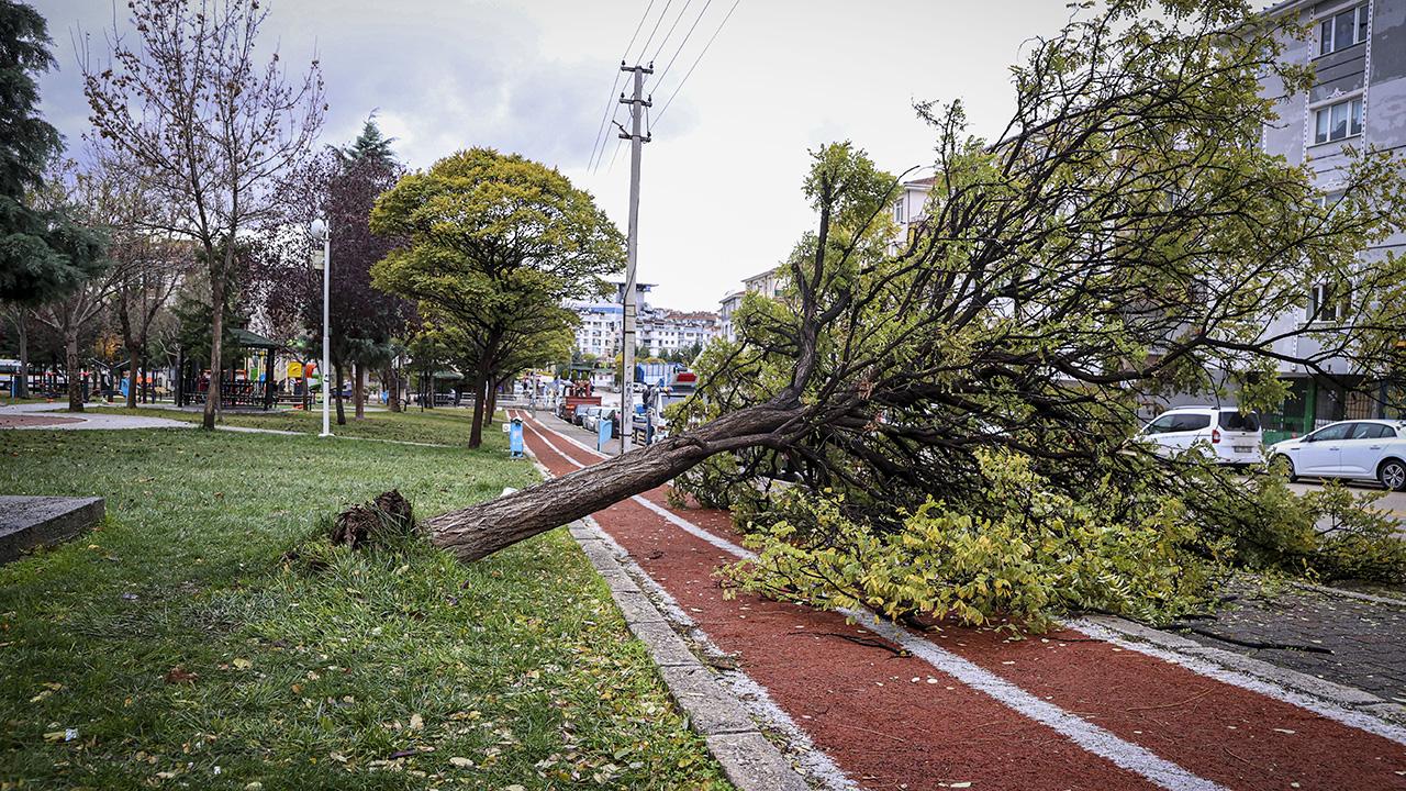 Konya'da fırtına can aldı: 1 ölü 3 yaralı